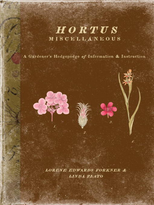Title details for Hortus Miscellaneous by Lorene Forkner - Available